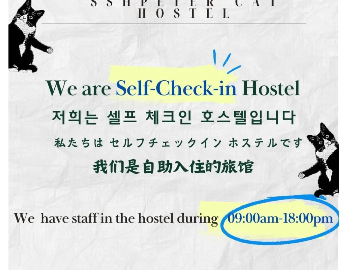 Hotel Ssh Ikseon Peter Cat Hostel Seoul South Korea