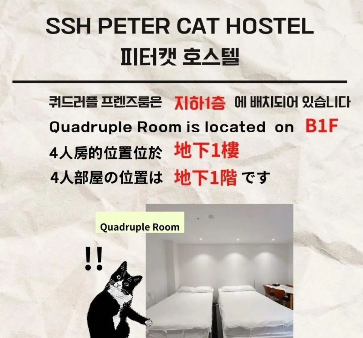 Ssh Ikseon Peter Cat Hostel Seoul 0*,  South Korea