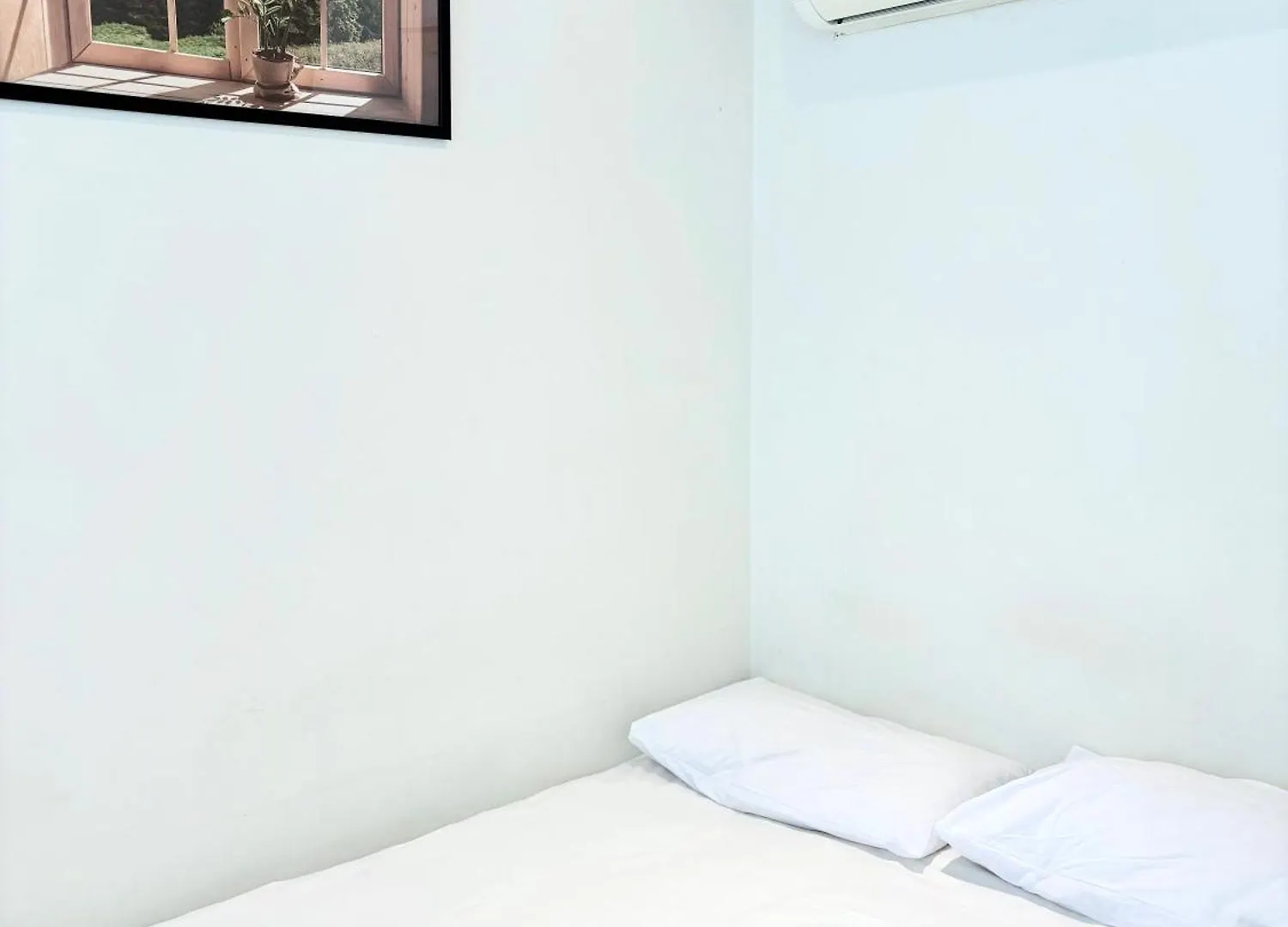 Ssh Ikseon Peter Cat Hostel Seoul